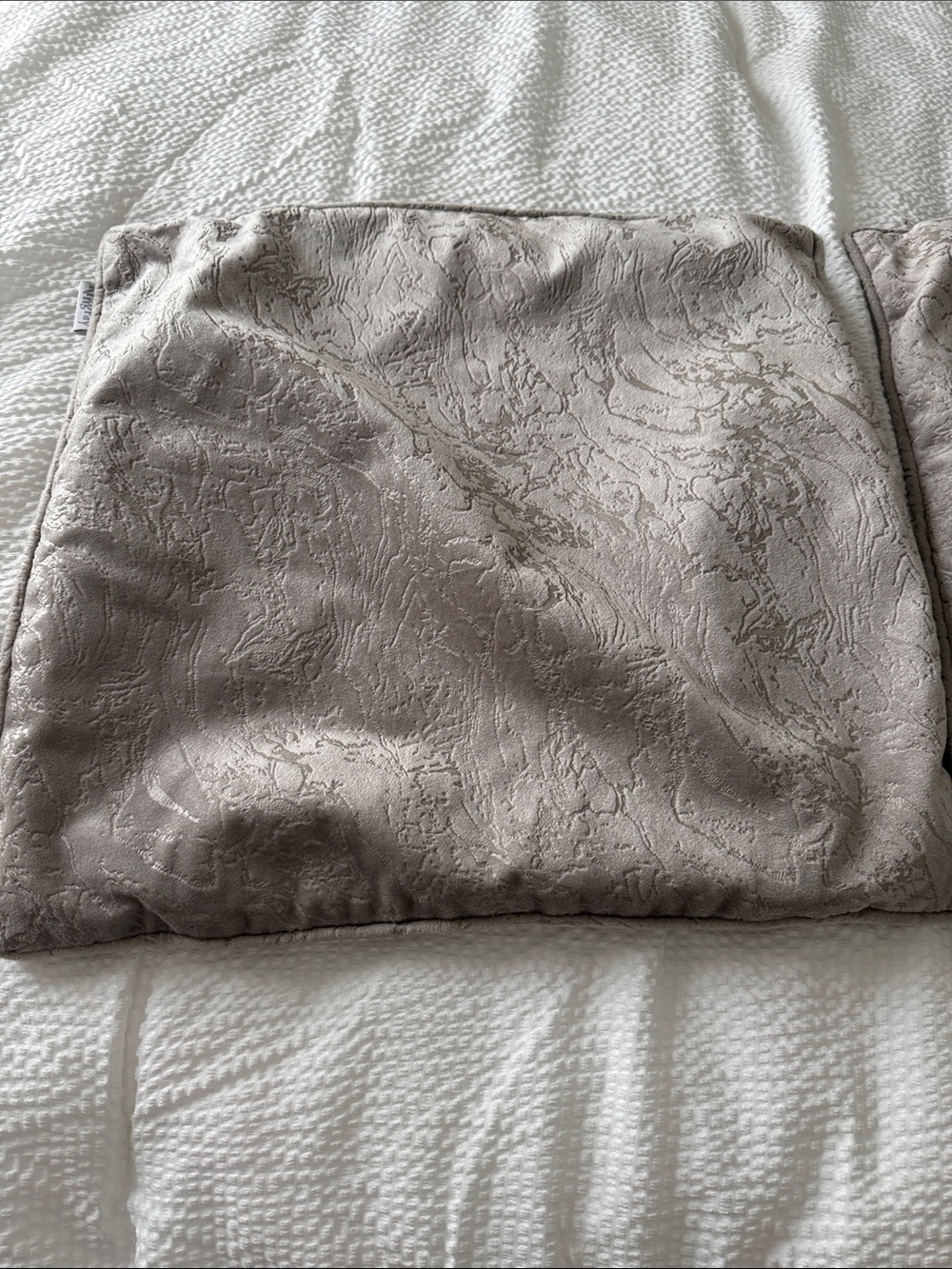 Decorative Jacquard Pillow Cover in Taupe